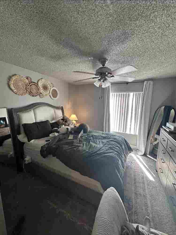 Room for rent!