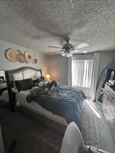 Room for rent!