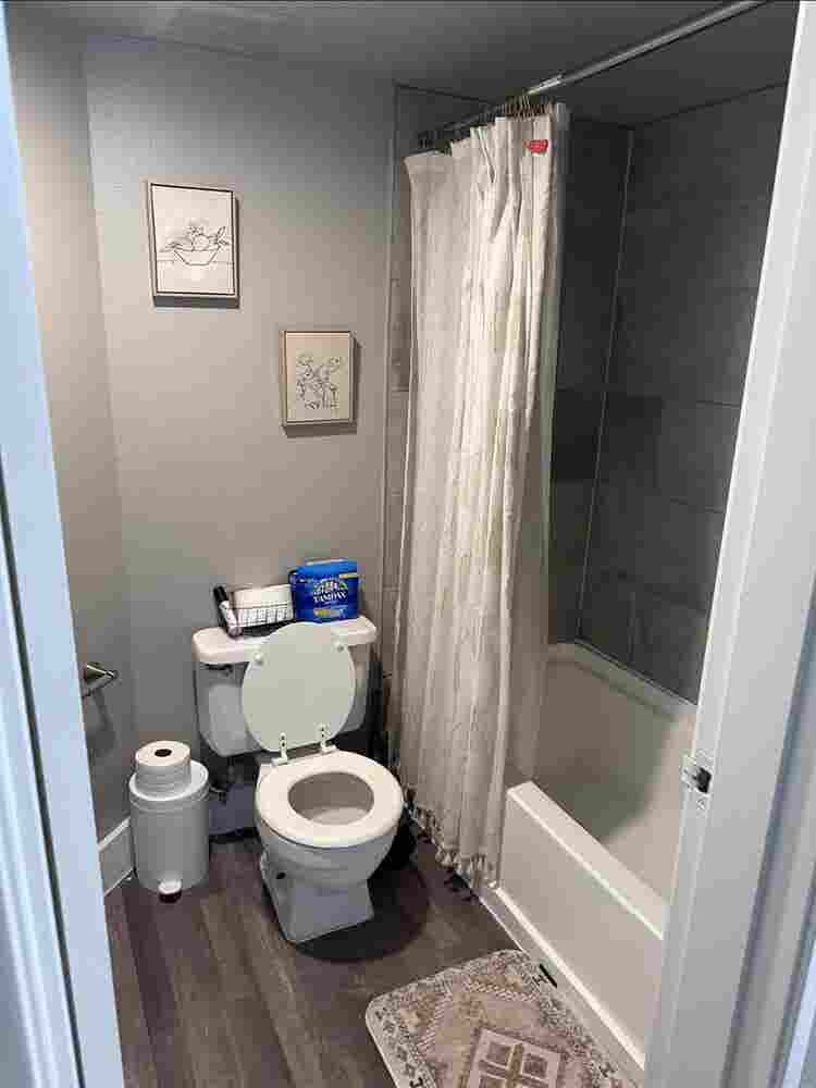 Room for rent!