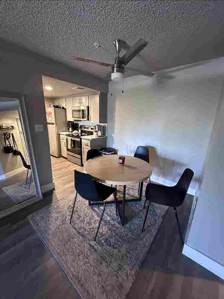 Room for rent!