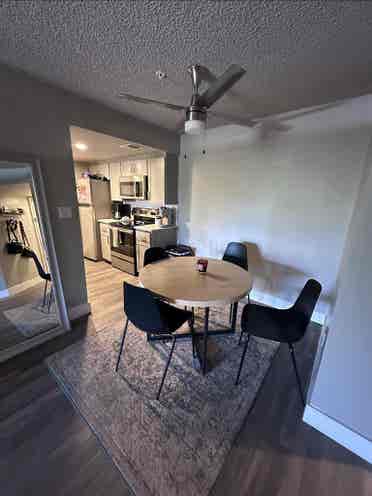 Room for rent!