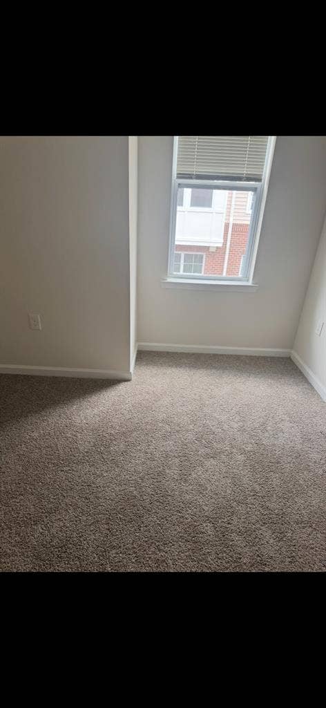 Roomate needed for luxury appartmen
