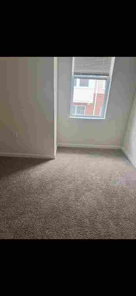 Roomate needed for luxury appartmen