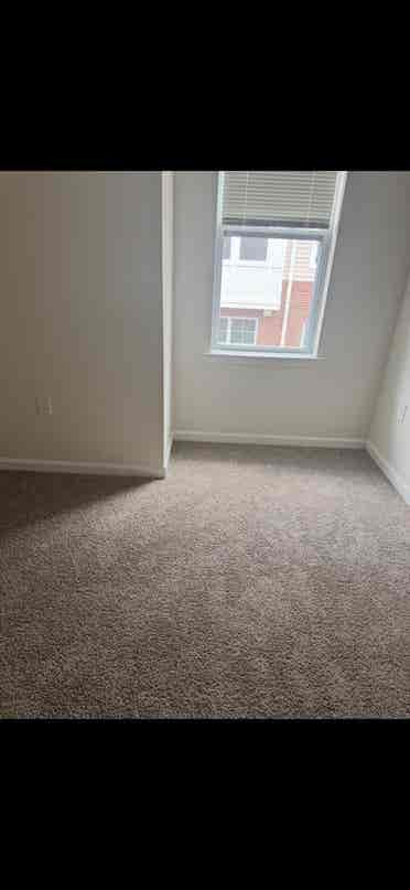 Roomate needed for luxury appartmen