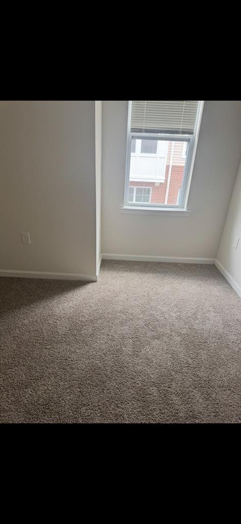 Roomate needed for luxury appartmen