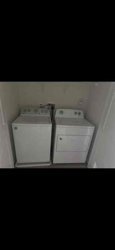 Roomate needed for luxury appartmen