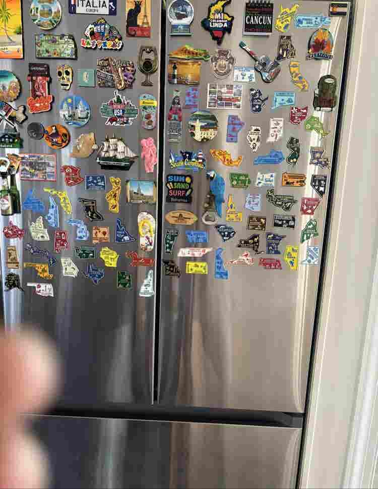 Female seeking female housemate