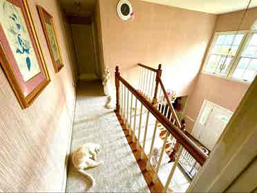 Female seeking female housemate