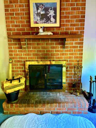 Female seeking female housemate