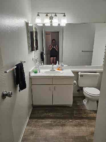 Potentially looking for roommate