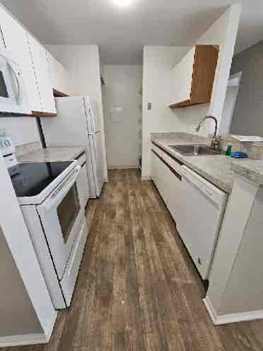 Potentially looking for roommate