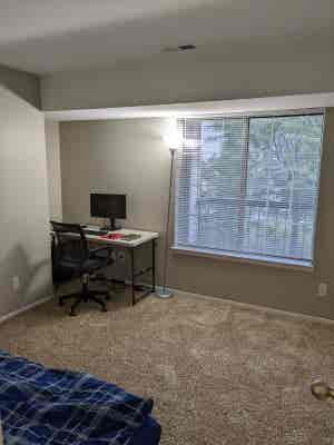 Potentially looking for roommate