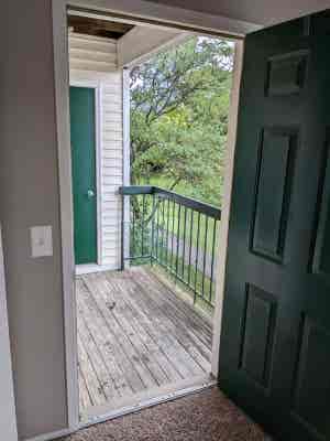 Potentially looking for roommate