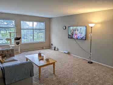 Potentially looking for roommate