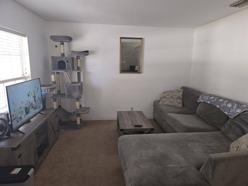 Bedroom(s) for rent