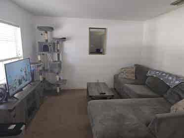 Bedrooms(s) for rent