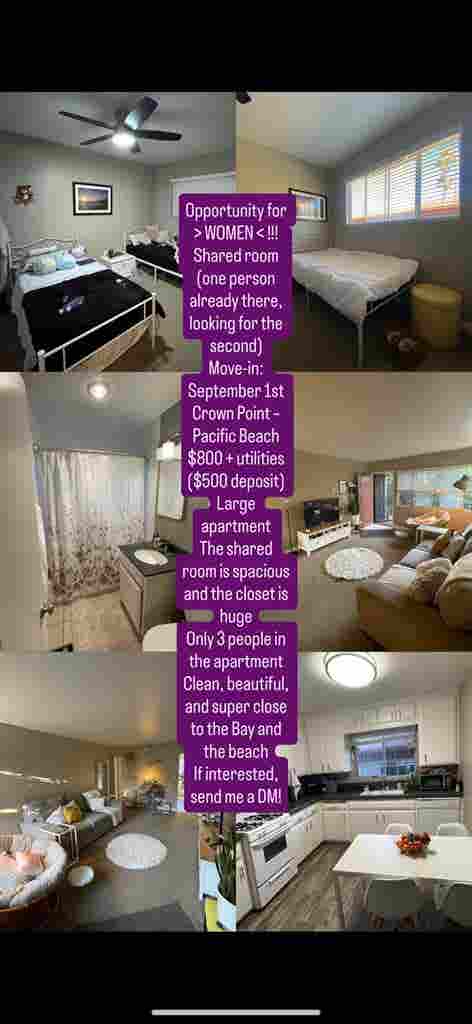 Shared room near the bay
