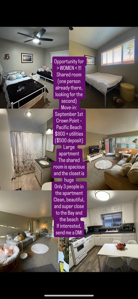 Shared room near the bay