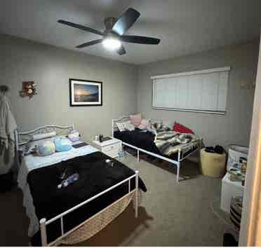 Shared room near the bay