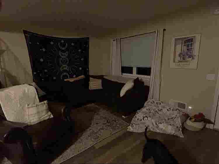 Looking for Roommate