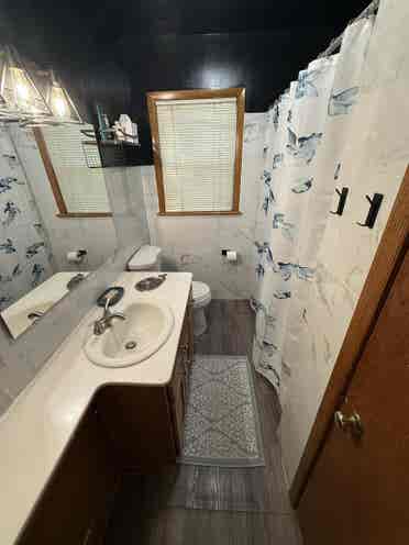 Looking for  roommates