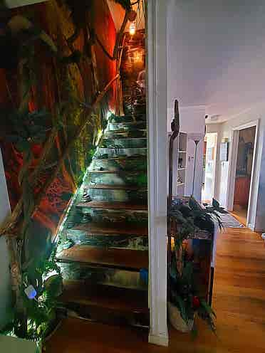 Creative and Cozy