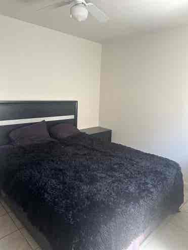 Room 4 rent