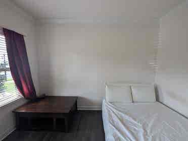 6 BR in Charlotte