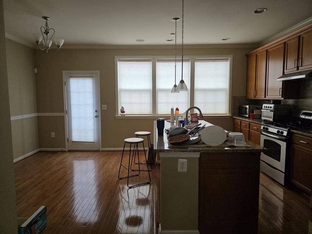 Looking for a roommate!