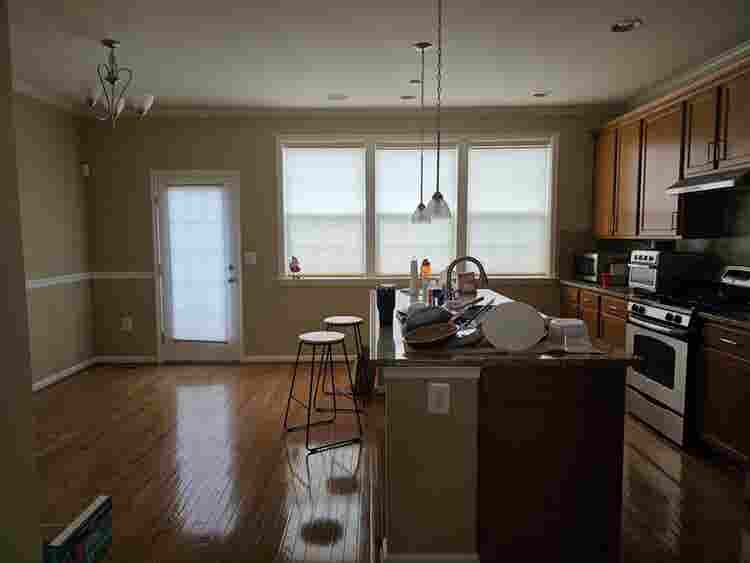 Looking for a roommate!