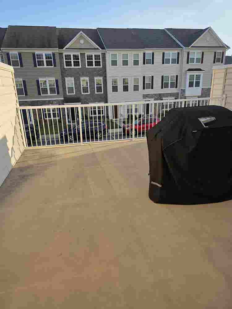 Looking for a roommate!