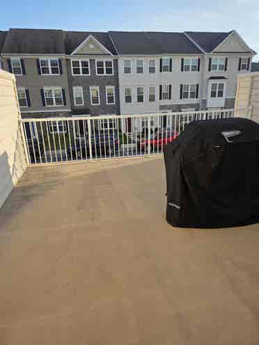 Looking for a roommate!
