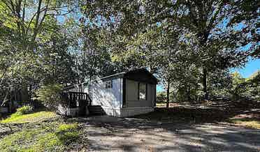 Need roomie in my new mobile home!