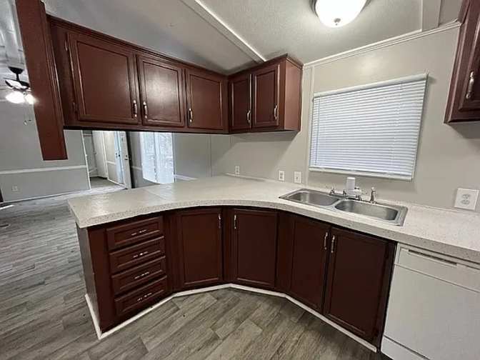 Need roomie in my new mobile home!