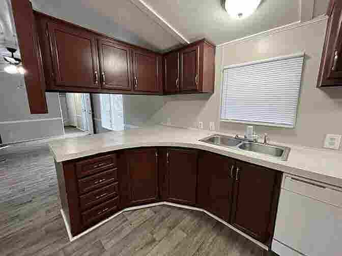 Need roomie in my new mobile home!