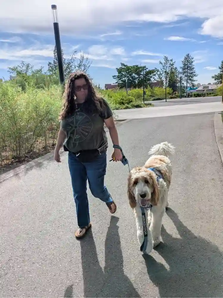 Looking for roommate to share 3bdrm