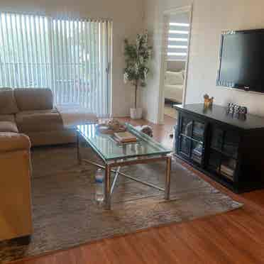 Looking for a female roommate