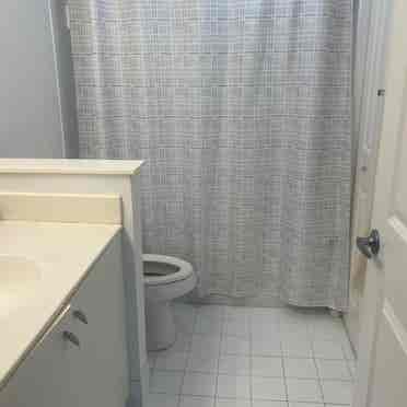 Looking for a female roommate