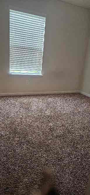 2 rooms available immediately!