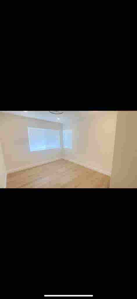 Looking for a roommate or two!