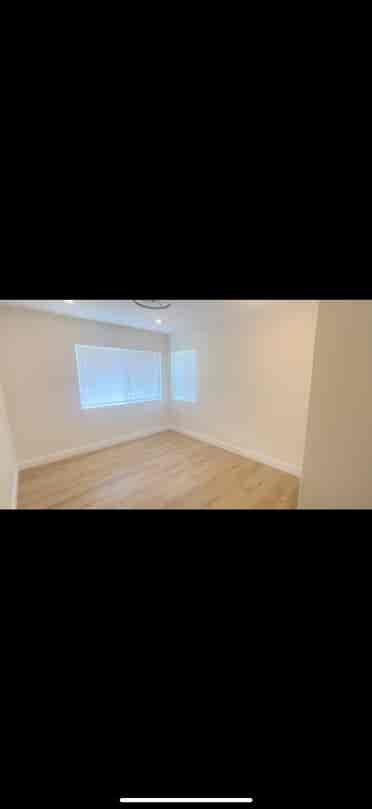 Looking for a roommate or two!