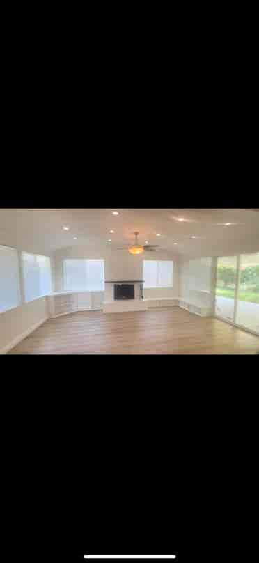 Looking for a roommate or two!