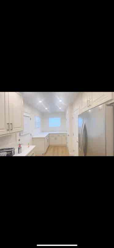 Looking for a roommate or two!