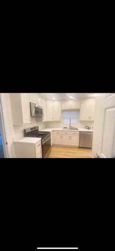 Looking for a roommate or two!
