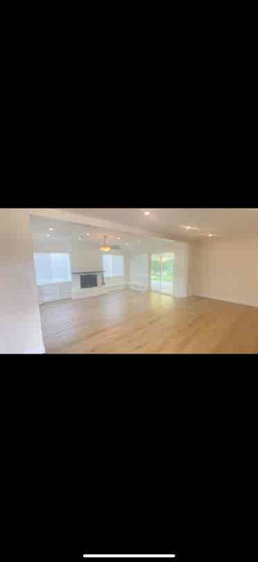 Looking for a roommate or two!