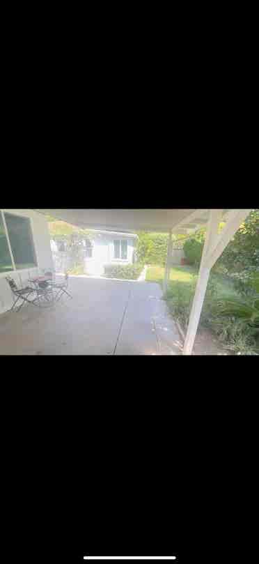 Looking for a roommate or two!