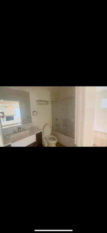 Looking for a roommate or two!