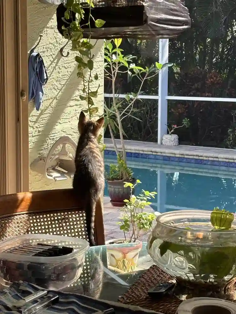 Room for rent and quiet home