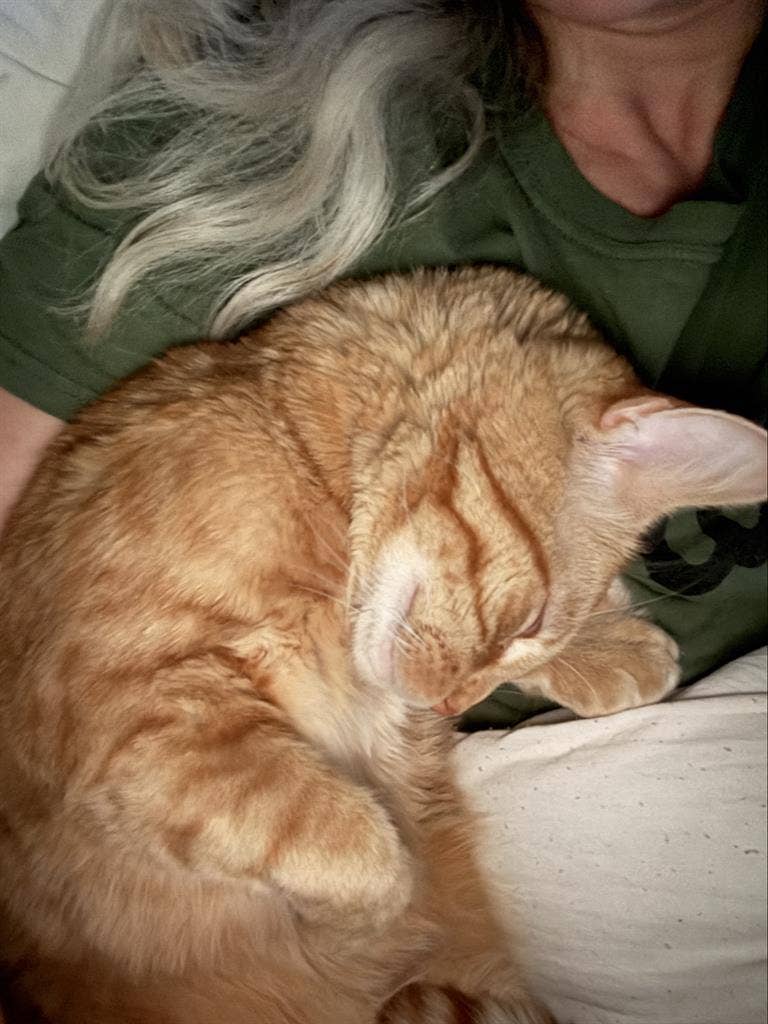 RENTING ROOM IN SAFE HOME