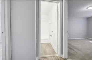 Roommate Needed